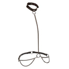 CALEXOTICS - EUPHORIA CHAIN HALTER COLLAR & LEASH
